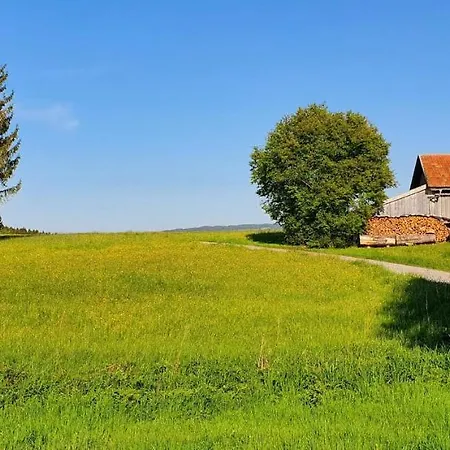 Ferienhaus Feriendorf Hochbergle Haus 85 *
